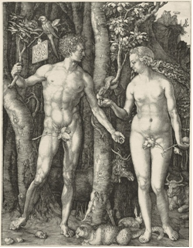 Adam+Eva Dürer