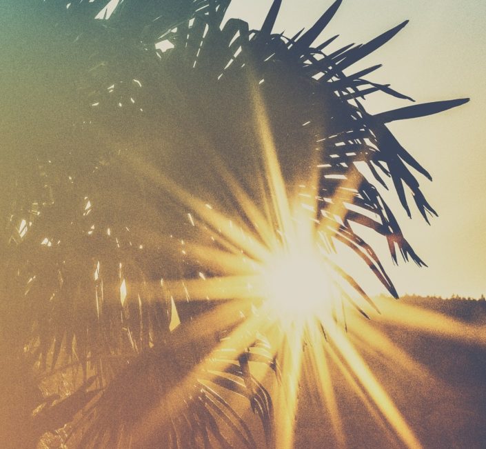 Photo Of Palm Trees During Golden Hour 2086269 Klein